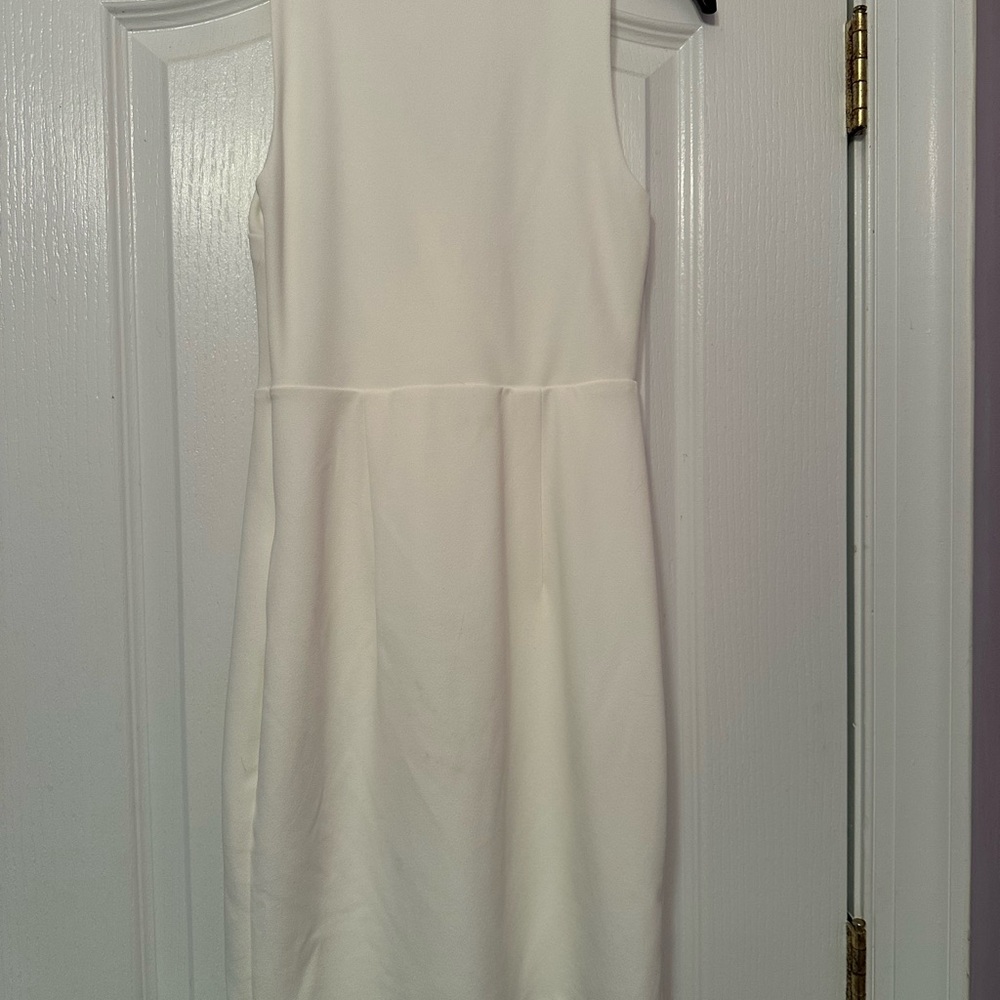 Express Dress - Picture 3 of 3